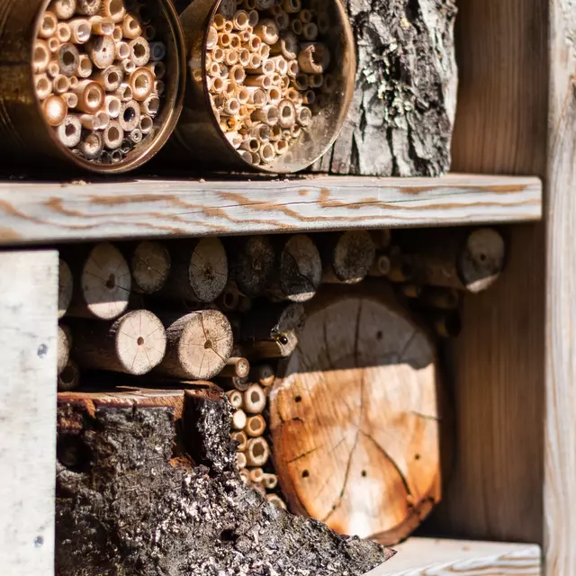 Auf dem Foto ist ein Bienenhotel zu sehen.