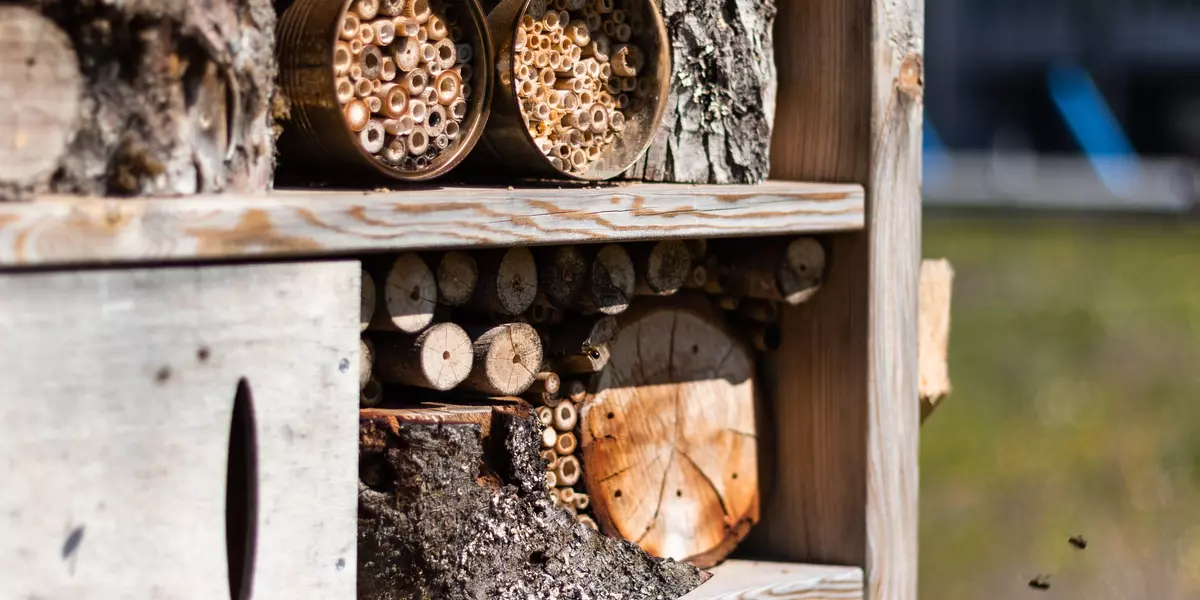 Auf dem Foto ist ein Bienenhotel zu sehen.